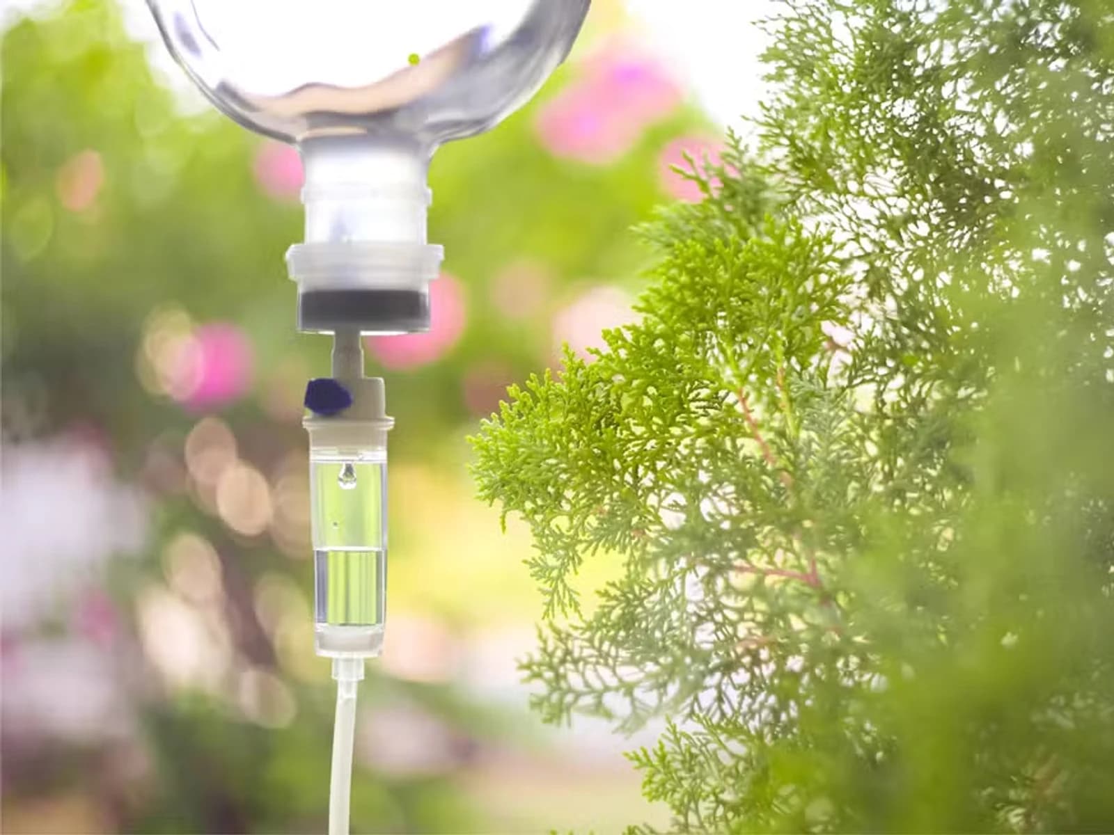 Soroterapia — gotejamento intravenoso com natureza ao fundo